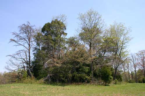 Old Glebe Tract Cemetery
